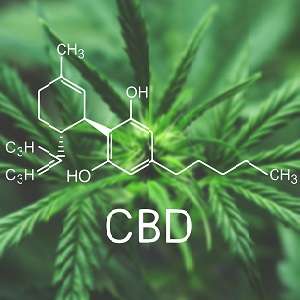 Peut-on conduire avec du CBD dans l'organisme ? 